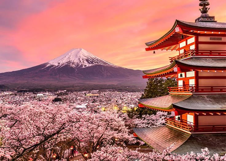 Japanese Car Auctions Resume After Golden Week – May 2025 Deals Are Here!